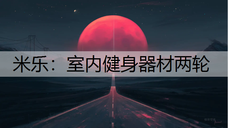 <strong>米乐：室内健身器材两轮</strong>